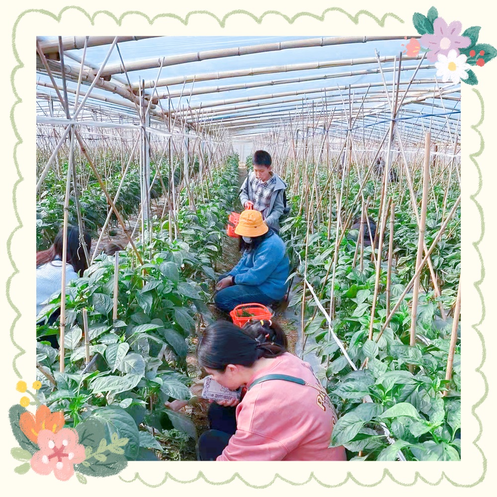 暖冬拓展，休閑出發！——記匯利達廈門12月團建活動