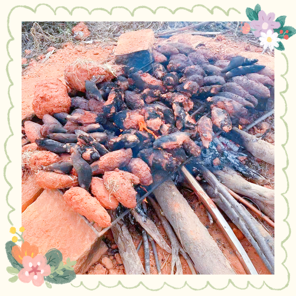 暖冬拓展，休閑出發！——記匯利達廈門12月團建活動