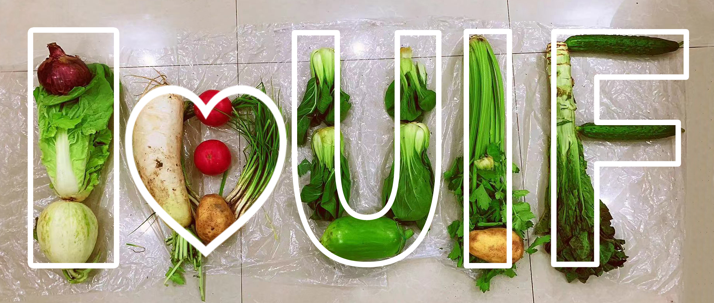 大疫情時代下，見證“小家”的守護——匯利達上海向員工發放生活物資