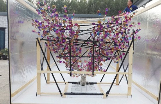 海外代參展，為什么近幾年這么火熱？